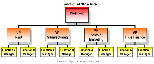 Functional Structure of an Organization