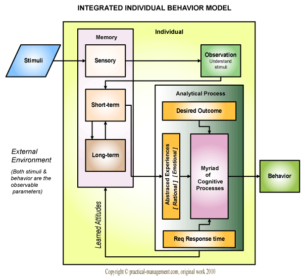 Integrated Individual Behavior Model