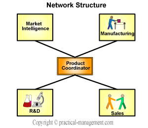 Network/Modular organization structure