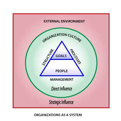 Organizations as a system