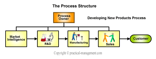 Process organization structure