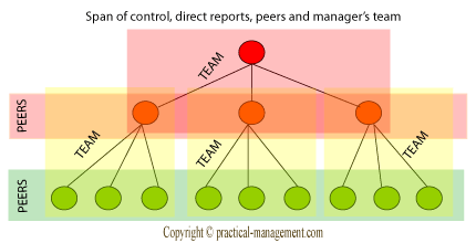 Organization's span of control